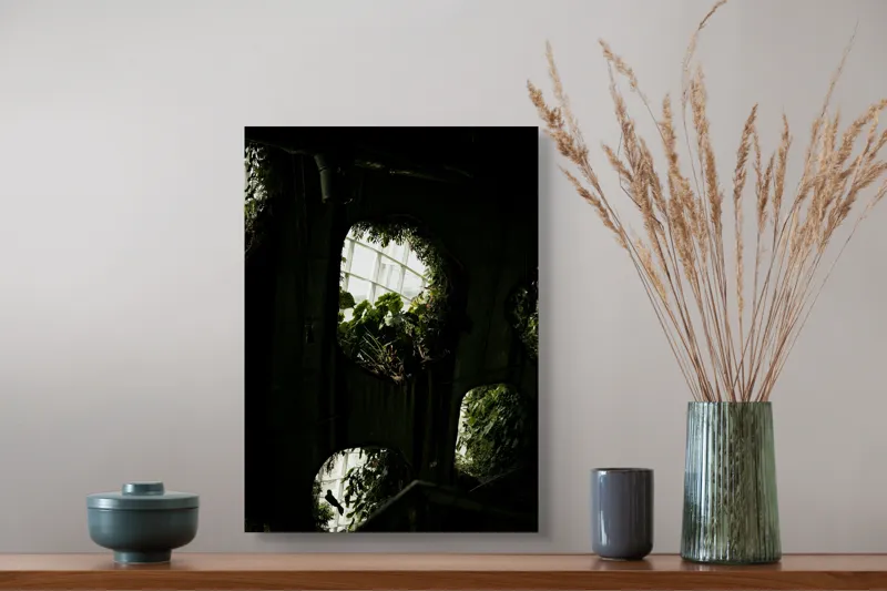 Tablou Canvas, "Grădina secretă din orașul industrial", Plante, Ferestre, Umbre, Lumină, Vegetație, Geometrie, Natură, Contrast, 39 x 54 cm – poza 3