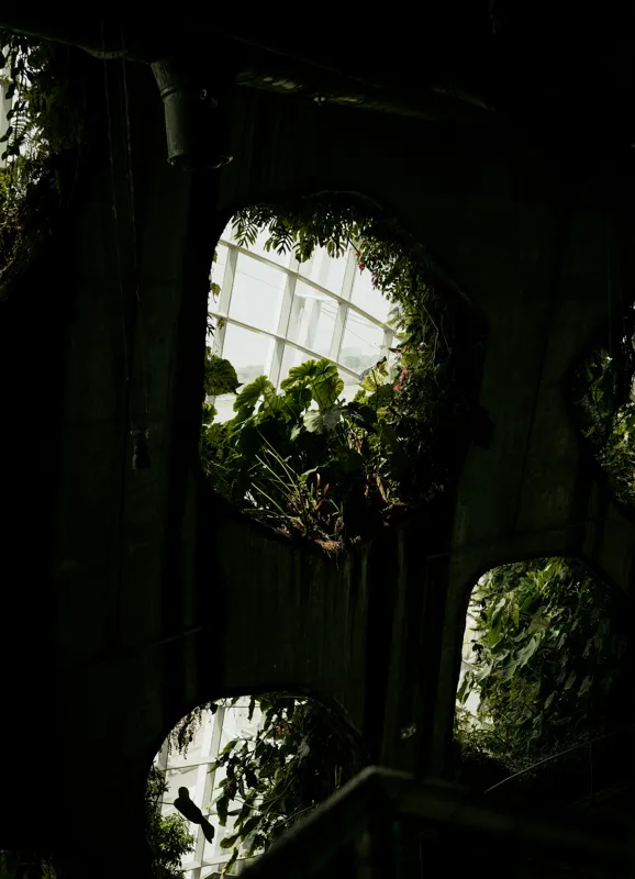 Tablou Canvas, "Grădina secretă din orașul industrial", Plante, Ferestre, Umbre, Lumină, Vegetație, Geometrie, Natură, Contrast, 39 x 54 cm – poza 2