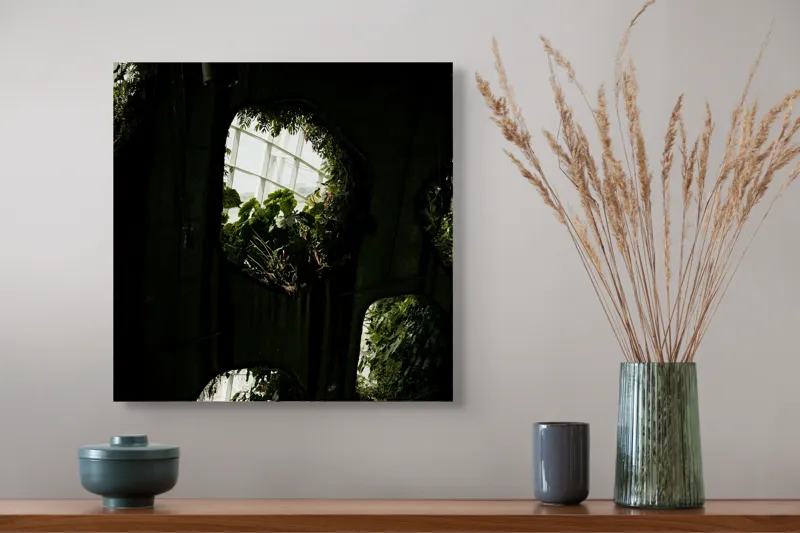 Tablou Canvas, "Grădina secretă din orașul industrial", Plante, Ferestre, Umbre, Lumină, Vegetație, Geometrie, Natură, Contrast, 50 x 50 cm – poza 4