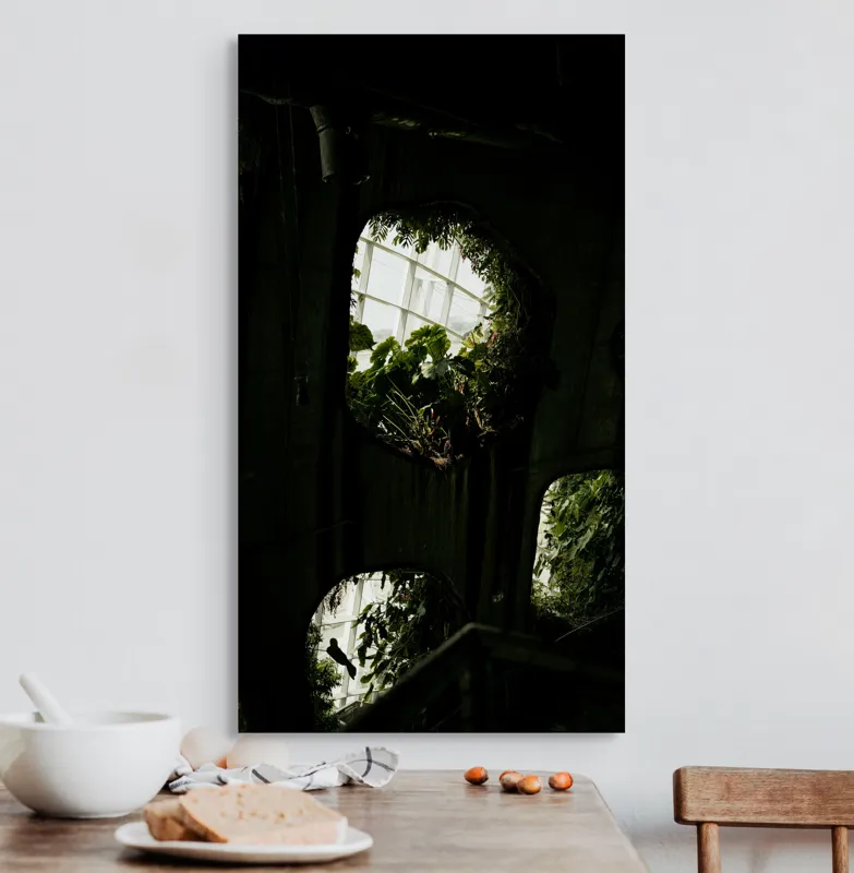 Tablou Canvas, "Grădina secretă din orașul industrial", Plante, Ferestre, Umbre, Lumină, Vegetație, Geometrie, Natură, Contrast, 50 x 90 cm – poza 3