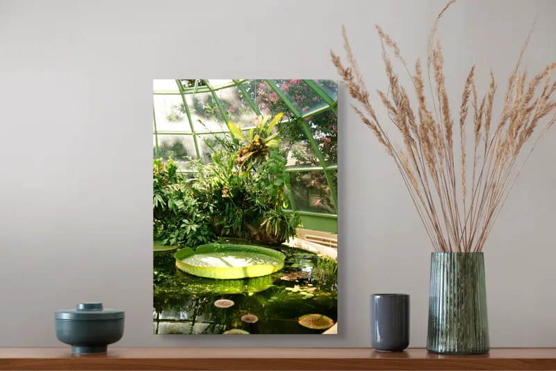 Tablou Canvas, "Seră cu vegetație luxuriantă și nufăruri", Frunze, Seră, Apă, Nufăr, Verde, Plante, Geamuri, Lumină, Flori, Umbre, 39 x 54 cm – poza 3