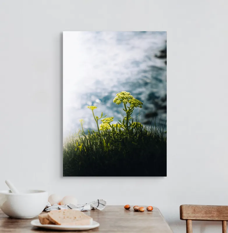 Tablou Canvas, "Flori sălbatice pe marginea mării", Flori, Lumina, Verdeață, Ocean, Strălucire, Contrast, Natură, Peisaj, Viață, Lumină, 50 x 70 cm – poza 3