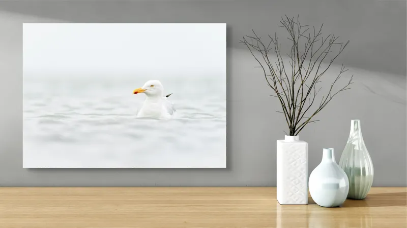 Tablou Canvas, "Pescărușul pe marea liniștită albă", Pescăruș, Apă, Calm, Cer, Pacificator, Armonie, Solitudine, 70 x 50 cm – poza 3