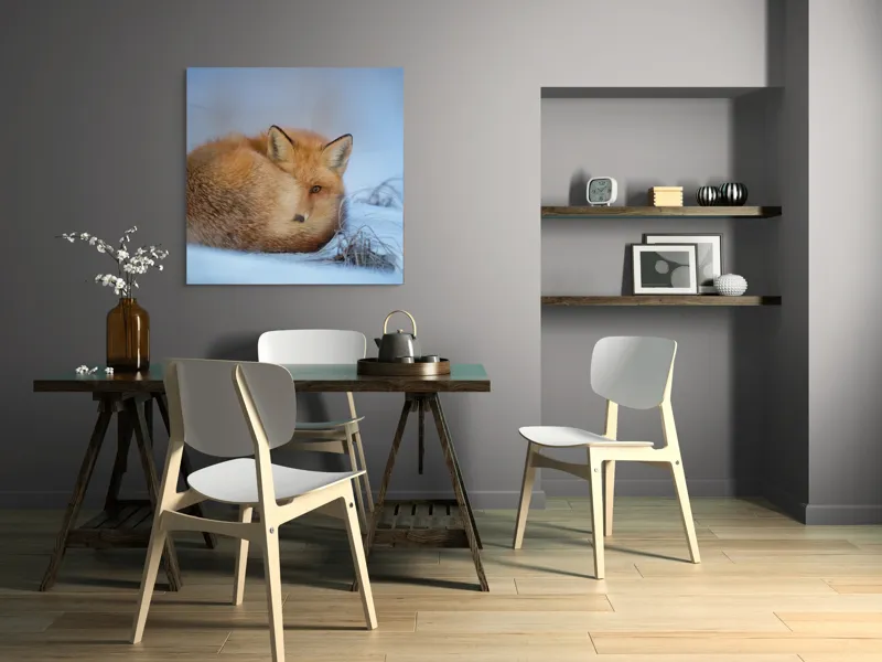 Tablou Canvas, "Vulpe odihnindu-se în zăpadă rece", Nu știu cine este în imagine., 100 x 100 cm – poza 6