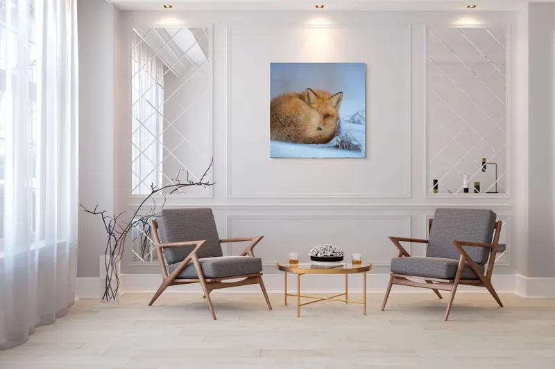 Tablou Canvas, "Vulpe odihnindu-se în zăpadă rece", Nu știu cine este în imagine., 100 x 100 cm – poza 7