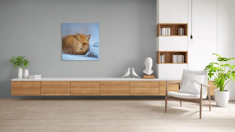 Tablou Canvas, "Vulpe odihnindu-se în zăpadă rece", Nu știu cine este în imagine., 100 x 100 cm – poza 8