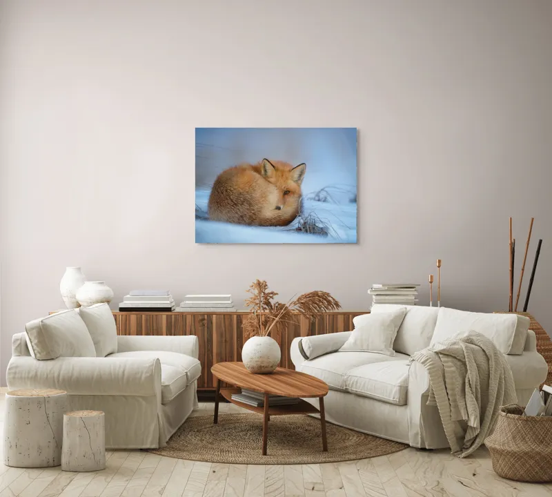 Tablou Canvas, "Vulpe odihnindu-se în zăpadă rece", 100 x 70 cm – poza 3