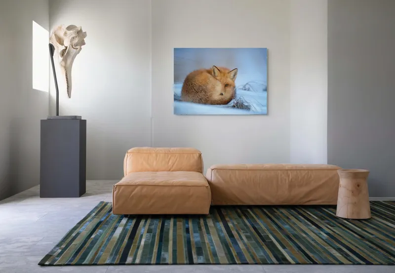 Tablou Canvas, "Vulpe odihnindu-se în zăpadă rece", 100 x 70 cm – poza 7