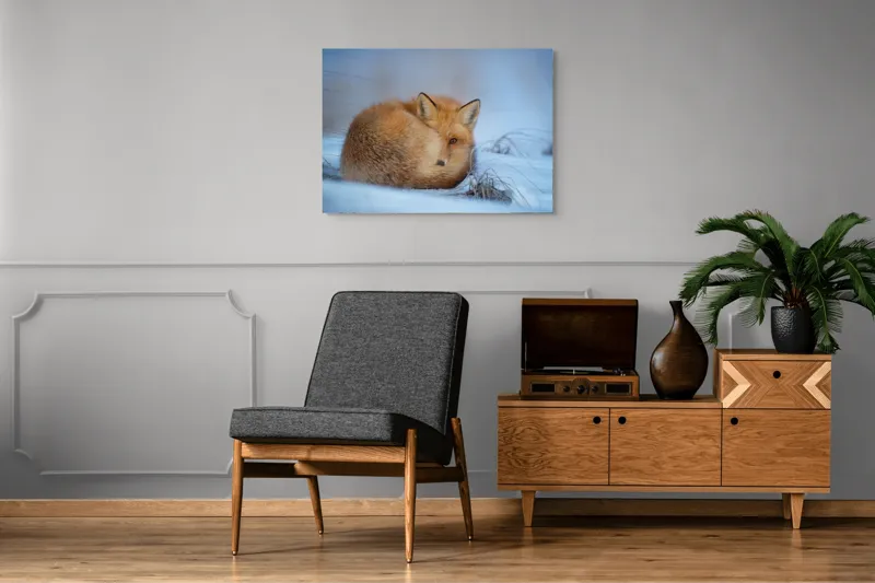 Tablou Canvas, "Vulpe odihnindu-se în zăpadă rece", 100 x 70 cm – poza 8