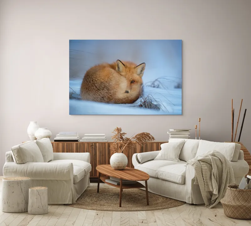 Tablou Canvas, "Vulpe odihnindu-se în zăpadă rece", 150 x 100 cm – poza 3