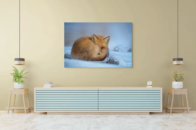 Tablou Canvas, "Vulpe odihnindu-se în zăpadă rece", 150 x 100 cm – poza 6