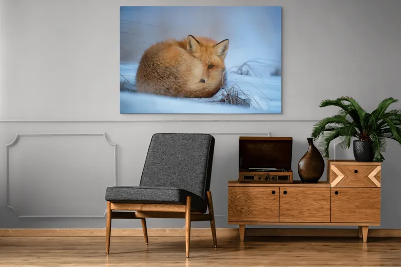 Tablou Canvas, "Vulpe odihnindu-se în zăpadă rece", 150 x 100 cm – poza 8