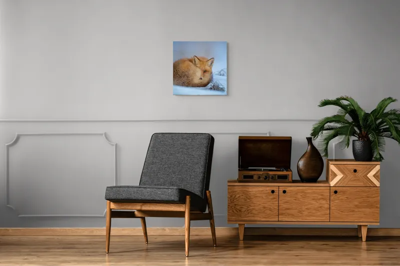 Tablou Canvas, "Vulpe odihnindu-se în zăpadă rece", 50 x 50 cm – poza 6