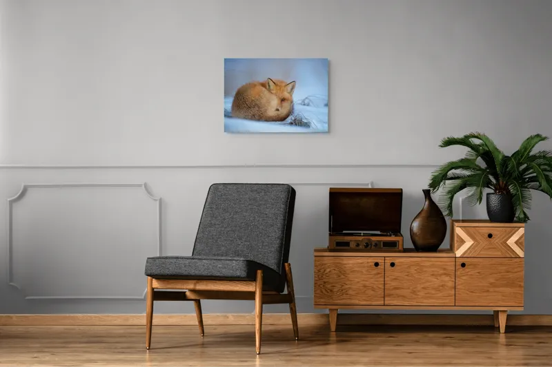 Tablou Canvas, "Vulpe odihnindu-se în zăpadă rece", 70 x 50 cm – poza 4