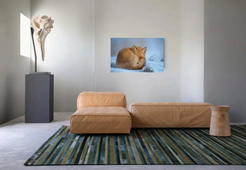 Tablou Canvas, "Vulpe odihnindu-se în zăpadă rece", 90 x 50 cm – poza 8