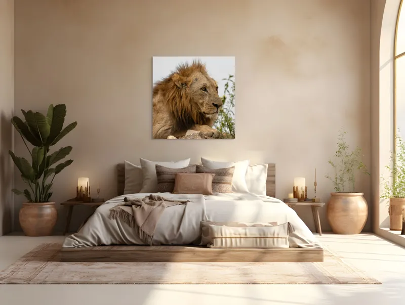 Tablou Canvas, "Regele savanei în amurg liniștit", 100 x 100 cm – poza 4