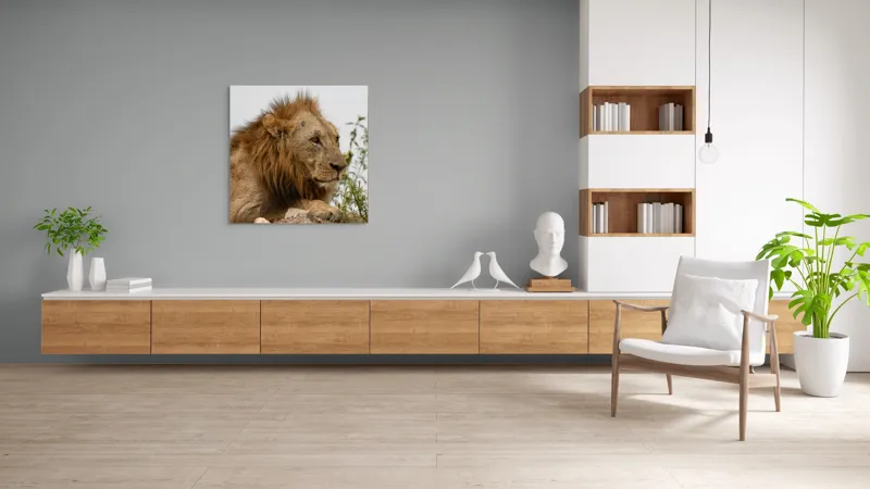 Tablou Canvas, "Regele savanei în amurg liniștit", 100 x 100 cm – poza 8