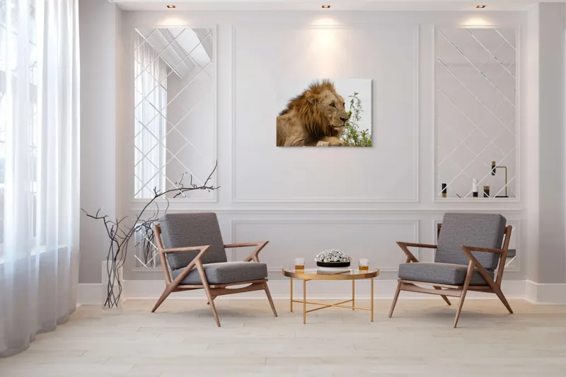 Tablou Canvas, "Regele savanei în amurg liniștit", 100 x 70 cm – poza 5