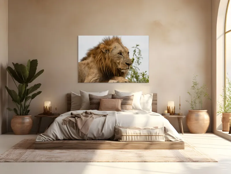 Tablou Canvas, "Regele savanei în amurg liniștit", 150 x 100 cm – poza 4