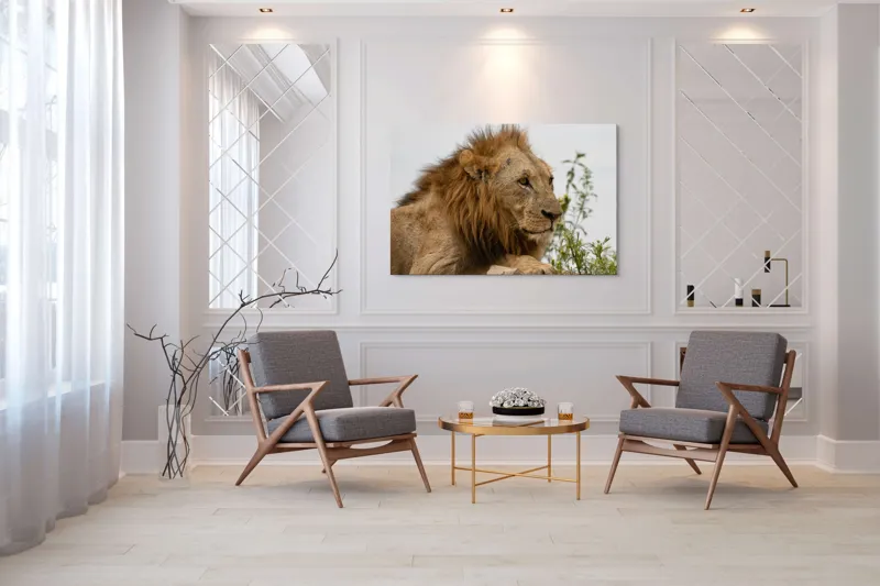 Tablou Canvas, "Regele savanei în amurg liniștit", 150 x 100 cm – poza 7