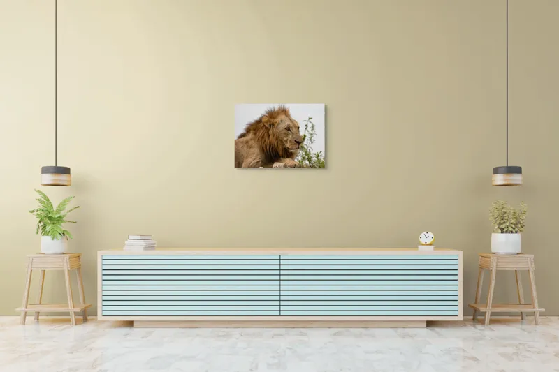 Tablou Canvas, "Regele savanei în amurg liniștit", 70 x 50 cm – poza 7