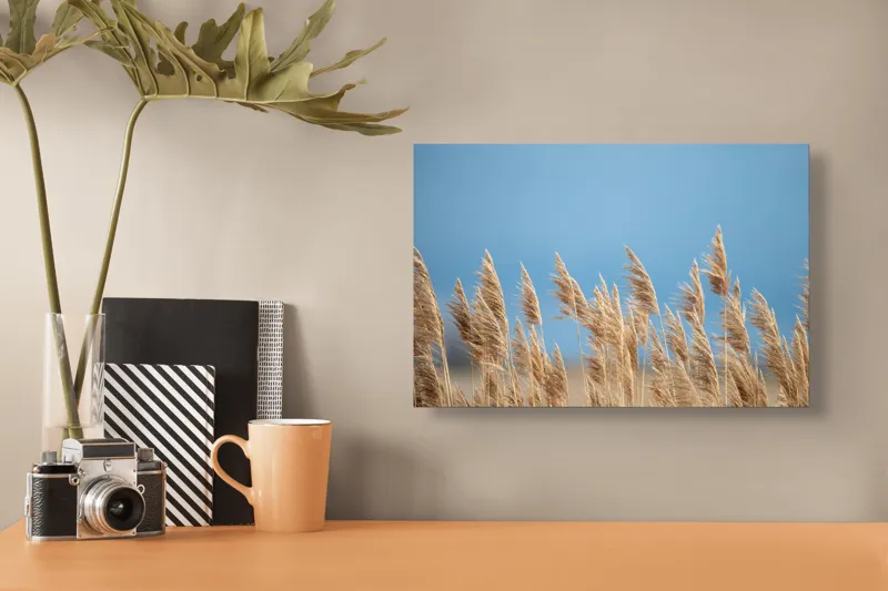 Tablou Canvas, "Spice dansând în bătaia vântului", Vânt, Trestii, Albastru, Cer, Natura, Mișcare, Lumină, 39 x 26 cm – poza 3