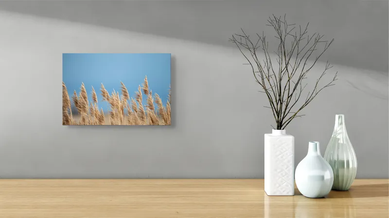 Tablou Canvas, "Spice dansând în bătaia vântului", Vânt, Trestii, Albastru, Cer, Natura, Mișcare, Lumină, 39 x 26 cm – poza 8