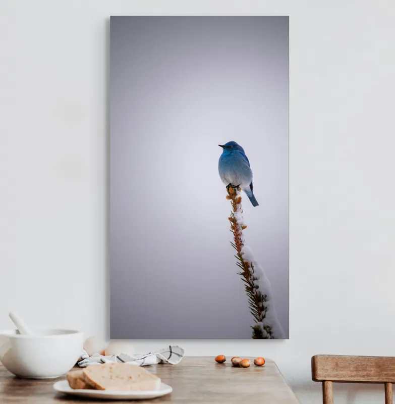 Tablou Canvas, "Pasărea albastră pe creanga înzăpezită", Pasăre, Albastră, Cer, Vârf, Ramură, Zăpadă, Iarnă, Singurătate, Natură, Frig., 50 x 90 cm – poza 3