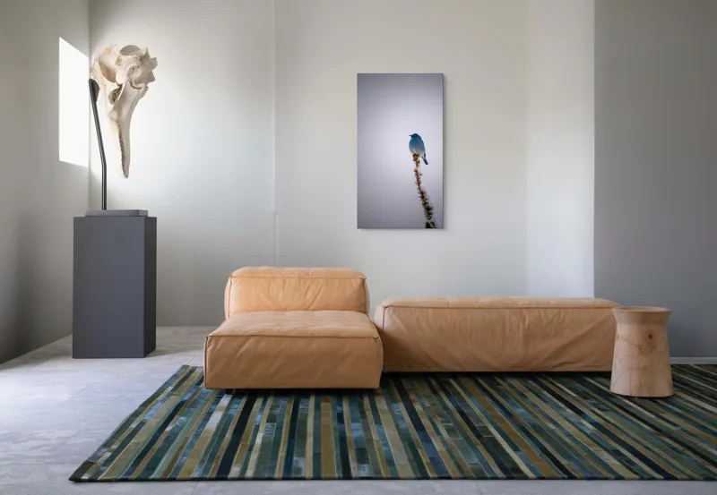 Tablou Canvas, "Pasărea albastră pe creanga înzăpezită", Pasăre, Albastră, Cer, Vârf, Ramură, Zăpadă, Iarnă, Singurătate, Natură, Frig., 50 x 90 cm – poza 5