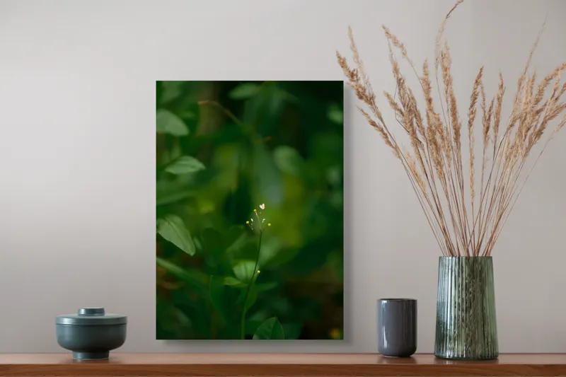 Tablou Canvas, "Inima naturii printre frunze verzi", Verde, Frunziș, Delicat, Petale, Natură, Mic, Fragil, Luminos, 39 x 54 cm – poza 3