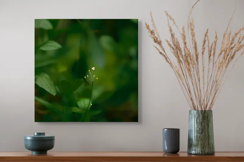 Tablou Canvas, "Inima naturii printre frunze verzi", Verde, Frunziș, Delicat, Petale, Natură, Mic, Fragil, Luminos, 50 x 50 cm – poza 4