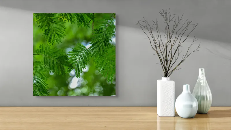 Tablou Canvas, "Frumusețea delicată a naturii verzi", Frunze, Verdeață, Natură, Lumină, Delicatețe, Textură, Frunziș, Vibrantă, 50 x 50 cm – poza 3
