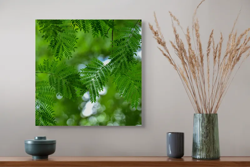 Tablou Canvas, "Frumusețea delicată a naturii verzi", Frunze, Verdeață, Natură, Lumină, Delicatețe, Textură, Frunziș, Vibrantă, 50 x 50 cm – poza 4