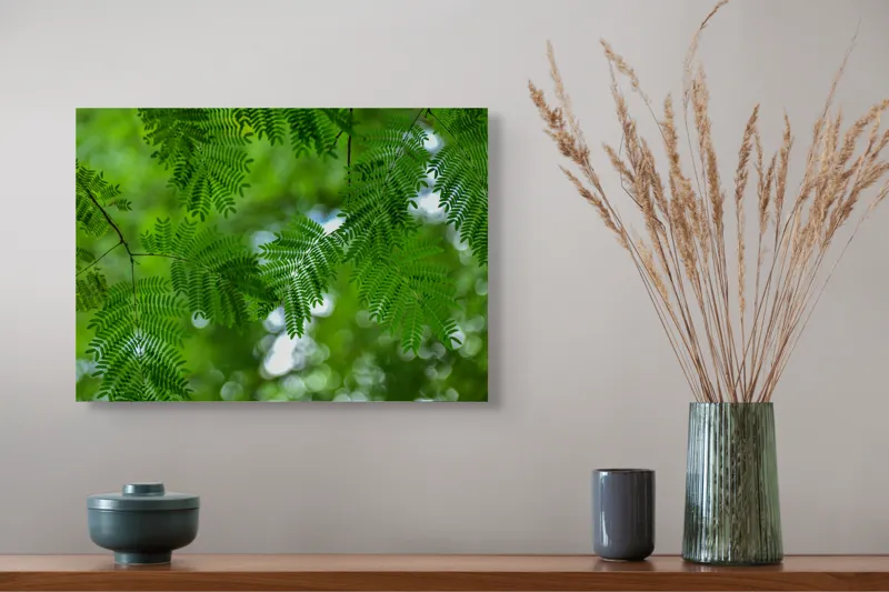 Tablou Canvas, "Frumusețea delicată a naturii verzi", Frunze, Verdeață, Natură, Lumină, Delicatețe, Textură, Frunziș, Vibrantă, 54 x 39 cm – poza 4