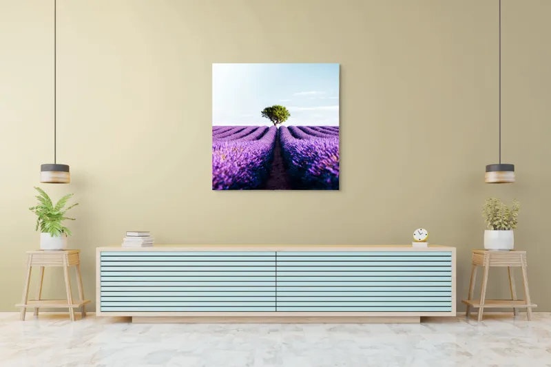 Tablou Canvas, "Lan de lavandă sub cer senin", Lavandă, Câmp, Copac, Albastru, Linia Orizontului, Rege, Natură, Parfum, Flori, Cer, Verde, Solitudine, 100 x 100 cm – poza 5