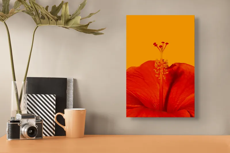 Tablou Canvas, "Frumusețea trandafirului tropical vibrant", Floare, Portocaliu, Stigmat, Petale, Natură, 26 x 39 cm – poza 3
