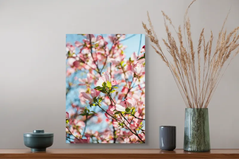 Tablou Canvas, "Flori delicate sub cer albastru", Flori, Roz, Ramuri, Cer, Lumina, Primavara, Frunze, Delicat, Nature, Frumusete, 39 x 54 cm – poza 3