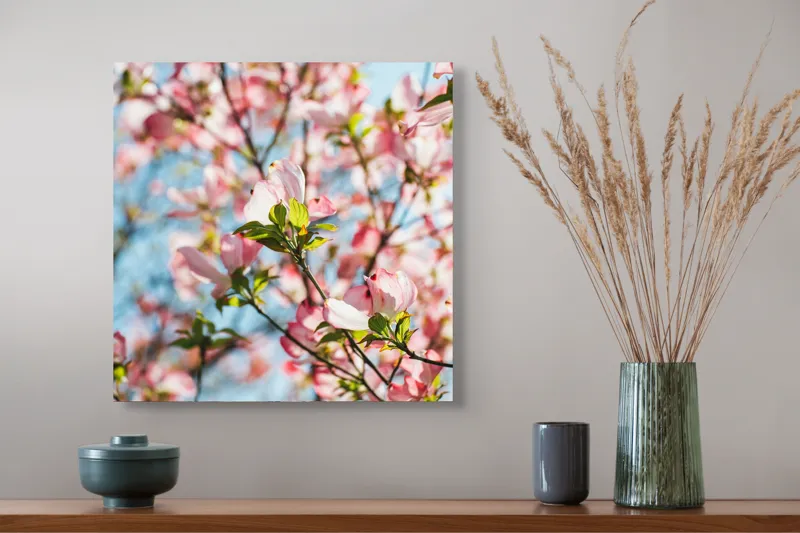 Tablou Canvas, "Flori delicate sub cer albastru", Flori, Roz, Ramuri, Cer, Lumina, Primavara, Frunze, Delicat, Nature, Frumusete, 50 x 50 cm – poza 4
