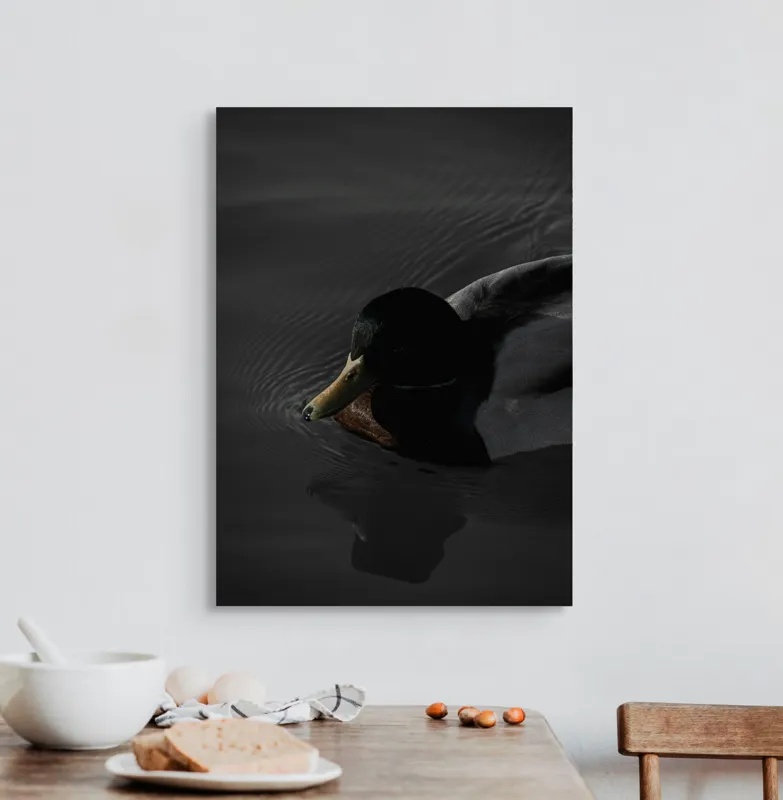 Tablou Canvas, "Rata plutind pe apă întunecată", Rață, Întuneric, Reflecție, Apă, Solitudine, 50 x 70 cm – poza 3
