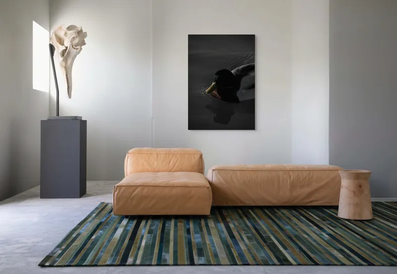 Tablou Canvas, "Rata plutind pe apă întunecată", Rață, Întuneric, Reflecție, Apă, Solitudine, 70 x 100 cm – poza 7
