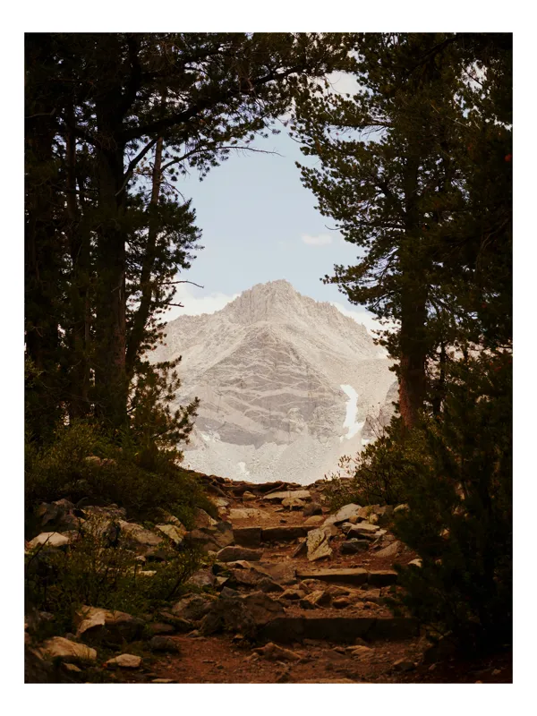 Tablou Canvas, "Peisaj montan ascuns prin pădurea deasă", Munte, Cer, Copaci, Potecă, Roci, Vegetație, Natură, Priveliște, Tranquilitate, Aventură., 50 x 90 cm