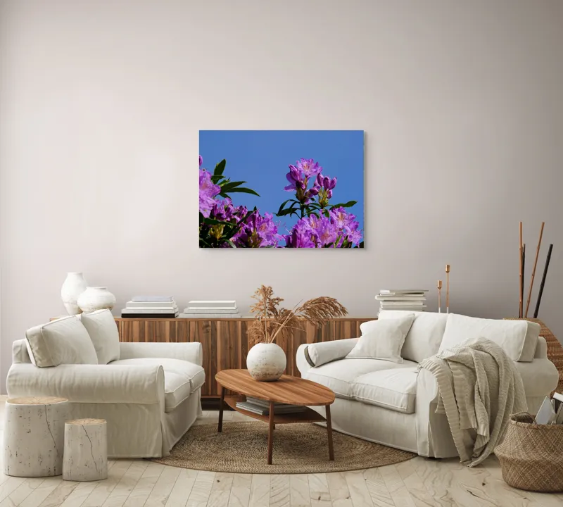 Tablou Canvas, "Flori mov sub cer senin", Flori, Mov, Cer, Albastru, Frunze, Verde, Primăvară, Soare, 100 x 70 cm – poza 3