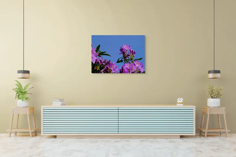 Tablou Canvas, "Flori mov sub cer senin", Flori, Mov, Cer, Albastru, Frunze, Verde, Primăvară, Soare, 100 x 70 cm – poza 4