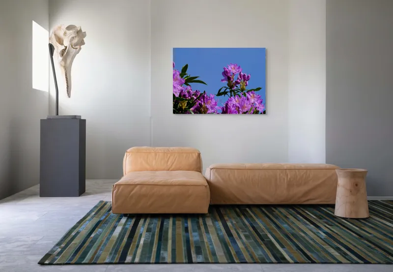 Tablou Canvas, "Flori mov sub cer senin", Flori, Mov, Cer, Albastru, Frunze, Verde, Primăvară, Soare, 100 x 70 cm – poza 7