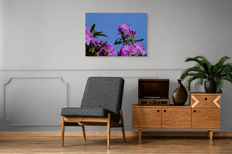 Tablou Canvas, "Flori mov sub cer senin", Flori, Mov, Cer, Albastru, Frunze, Verde, Primăvară, Soare, 100 x 70 cm – poza 8