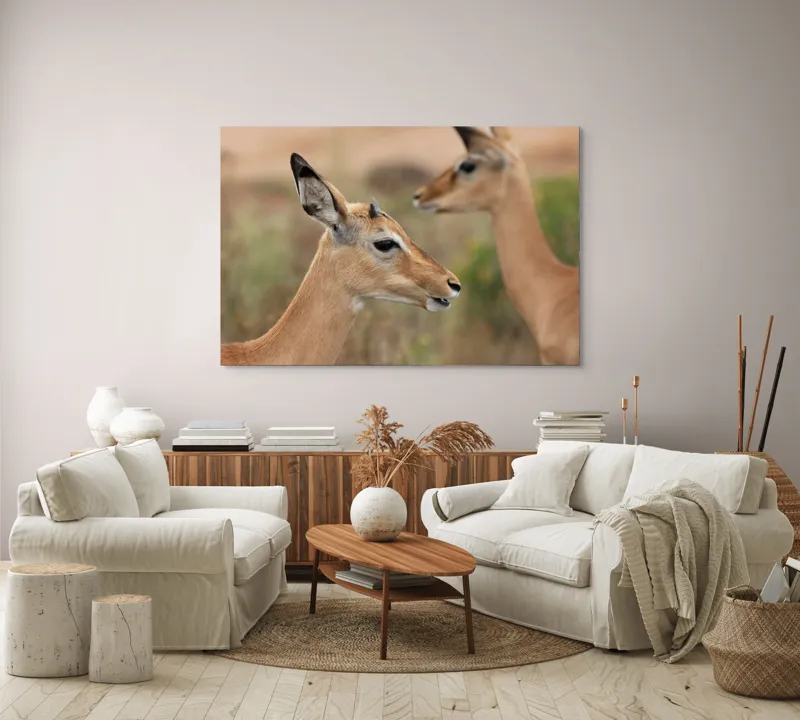 Tablou Canvas, "Grațioasele gazele în habitatul natural", Caprioara, Natură, Serenitate, Eleganță, Focusează, Blândețe, Grație, Peisaj, Calmul, Animale., 150 x 100 cm – poza 3