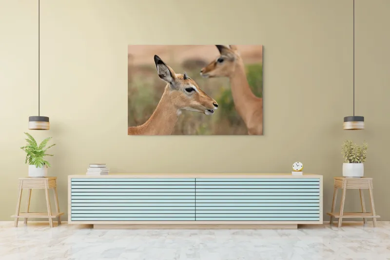 Tablou Canvas, "Grațioasele gazele în habitatul natural", Caprioara, Natură, Serenitate, Eleganță, Focusează, Blândețe, Grație, Peisaj, Calmul, Animale., 150 x 100 cm – poza 6