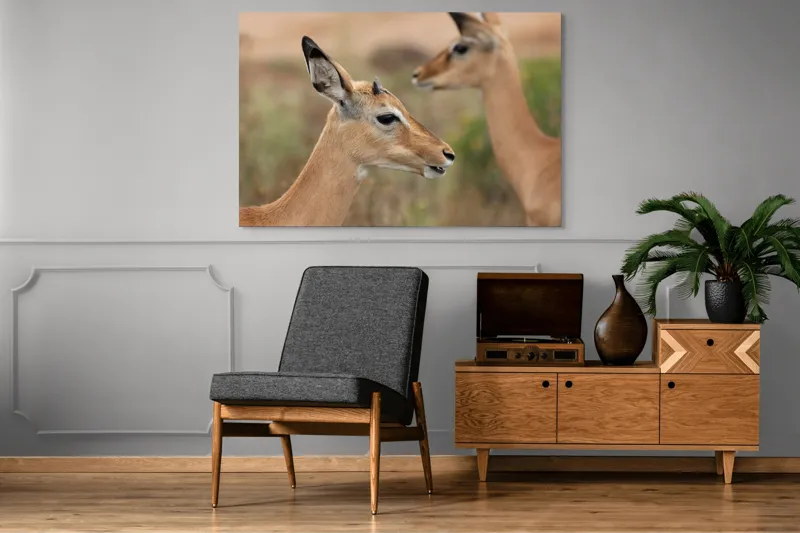 Tablou Canvas, "Grațioasele gazele în habitatul natural", Caprioara, Natură, Serenitate, Eleganță, Focusează, Blândețe, Grație, Peisaj, Calmul, Animale., 150 x 100 cm – poza 8
