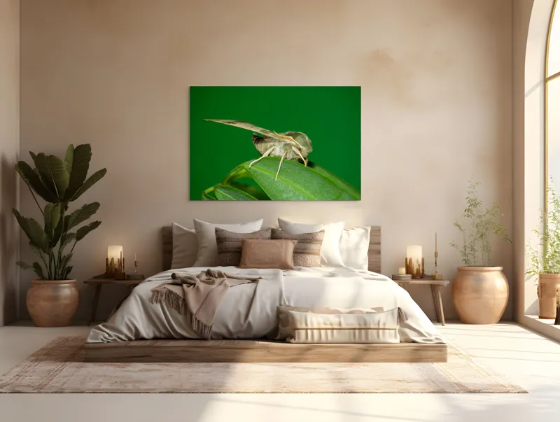 Tablou Canvas, "Molie odihnindu-se pe frunza verde", Fluture, Verde, Frunză, Aripi, Natură, Insectă, Fundal, Detaliu, Contrast, Delicat., 150 x 100 cm – poza 4