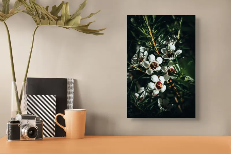 Tablou Canvas, "Flori albe în lumina umbrei", Flori, Albe, Frunze, Verde, Natura, Detalii, Lumina, Umbre, 26 x 39 cm – poza 3